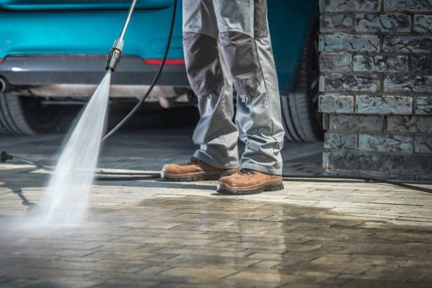 Best House Exterior Washing  in Savanna, IL