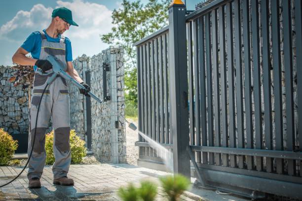 Best Spring Cleaning  in Savanna, IL