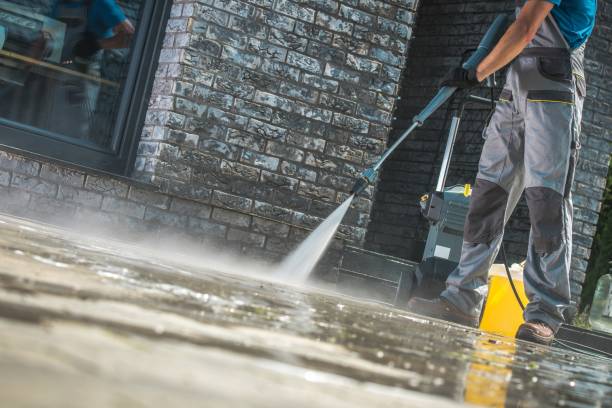 Best Driveway Pressure Washing  in Savanna, IL